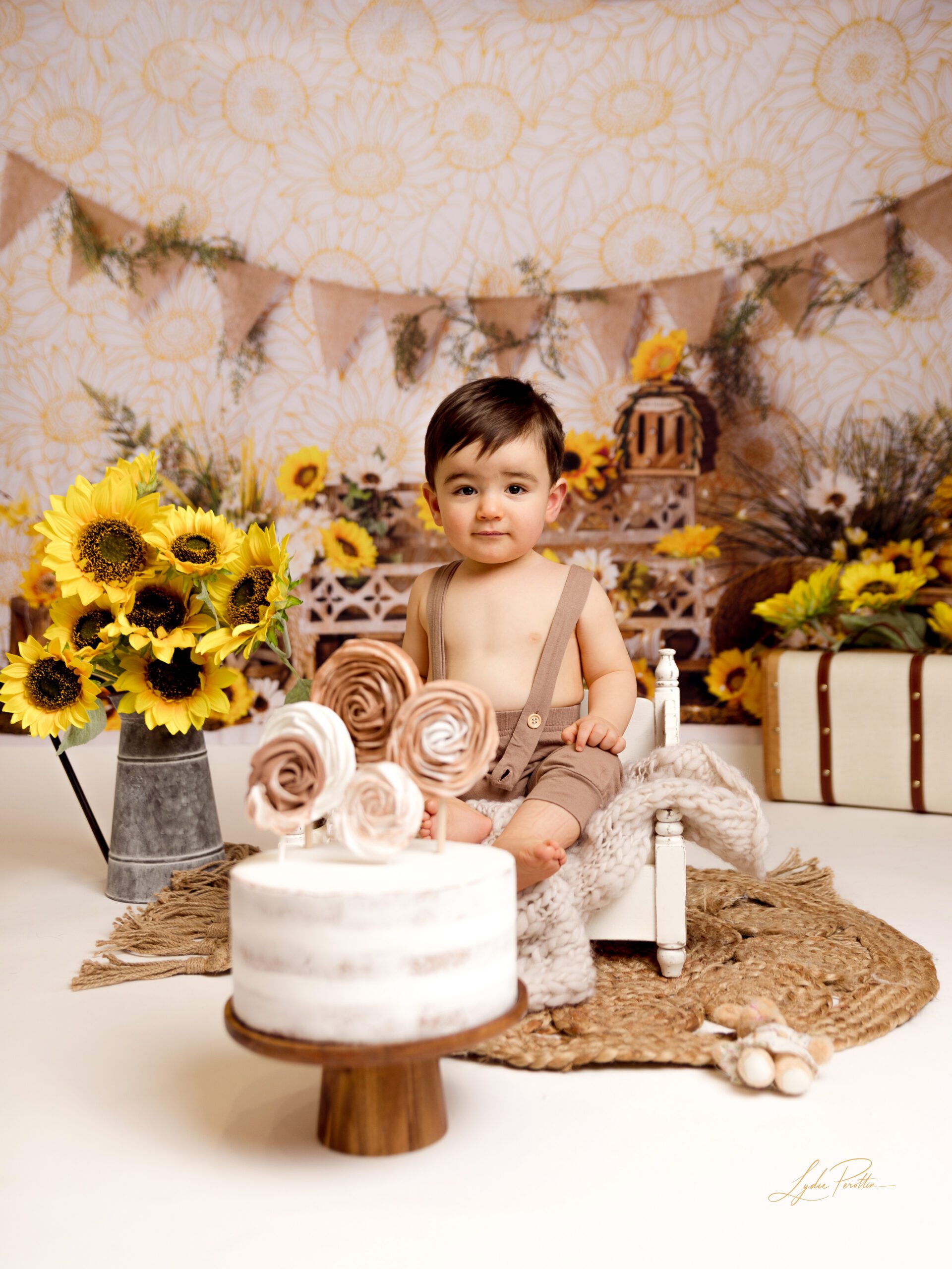 smash the cake, photo 1er année bébé, un an, anniversaire 2 ans, gateau, jeux, decor, fête photographié reportage, amour, spontané, destination, chateau, domaine, modèle, mannequin, ethnique, cleopatre, allongée, poses, formation, douceure, photo animalière maison de naissance, accouchement physio, naissance, enfantement, sage femme doula allaitement, studio, papa en enfant, rires mannequin, noir et blanc, joie, nature maman et moi, douceur amour, coucher de soleil, gateaux fond decors, rose fleuris couronne de fleurs douceur pampas fleurs boheme, anne geddes artistique et romantique prise par le studio lydie perottin phtoographe specialiste de la maternité, grossesse, femme enceinte, naissance accouchement, bébé, couple mariage, et famille en rhone alpes, proche lyon, cremieu bourgoin jallieu, grenoble chambery en studio ou en exterieur dans la foret ou la naturephoto bébé fond rose, position foetale, rose fleuris couronne de fleurs douceur pampas fleurs boheme, anne geddes artistique et romantique prise par le studio lydie perottin phtoographe specialiste de la maternité, grossesse, femme enceinte, naissance accouchement, bébé, couple mariage, et famille en rhone alpes, proche lyon, cremieu bourgoin jallieu, grenoble chambery en studio ou en exterieur dans la foret ou la nature